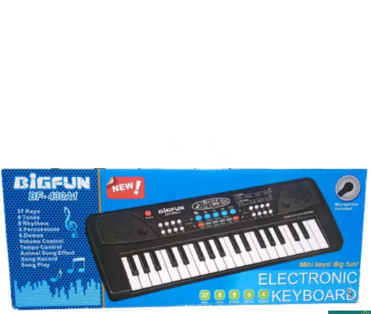 BIGFUN ELECTRONIC KEYBOARD